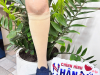 nâng cấp chân giả dưới gối